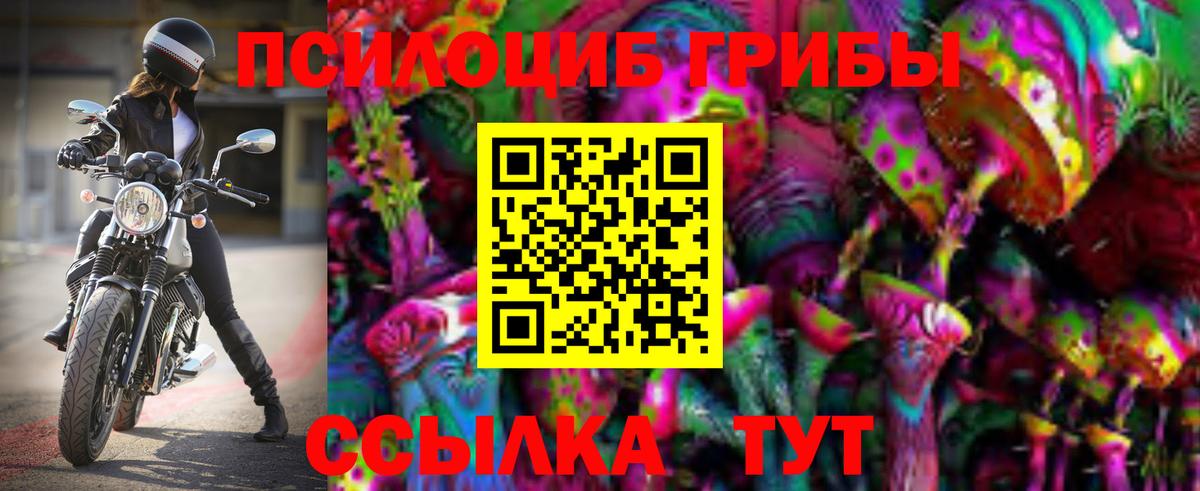 Галлюциногенные грибы Cubensis  Вход с VPN  Вязники 
