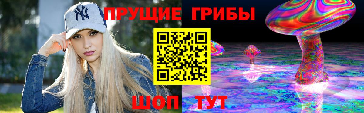 Псилоцибиновые грибы MAGIC MUSHROOMS Вязники